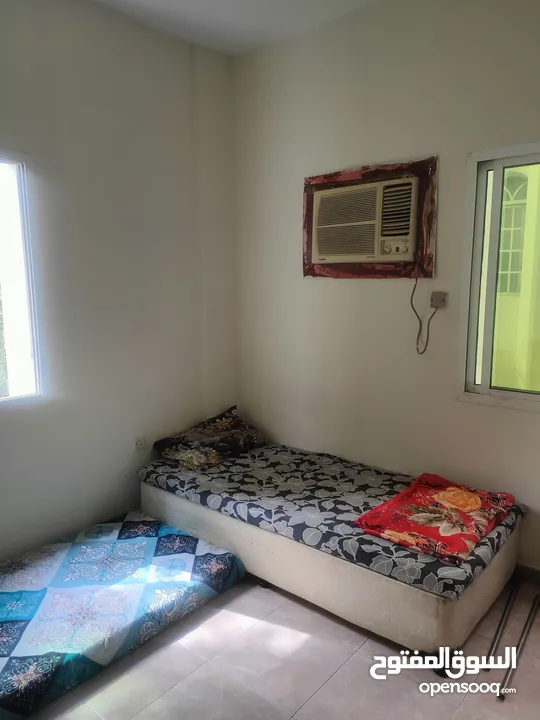 Bed space Room for rent Shared Accommodation Hostel Daily basis rental