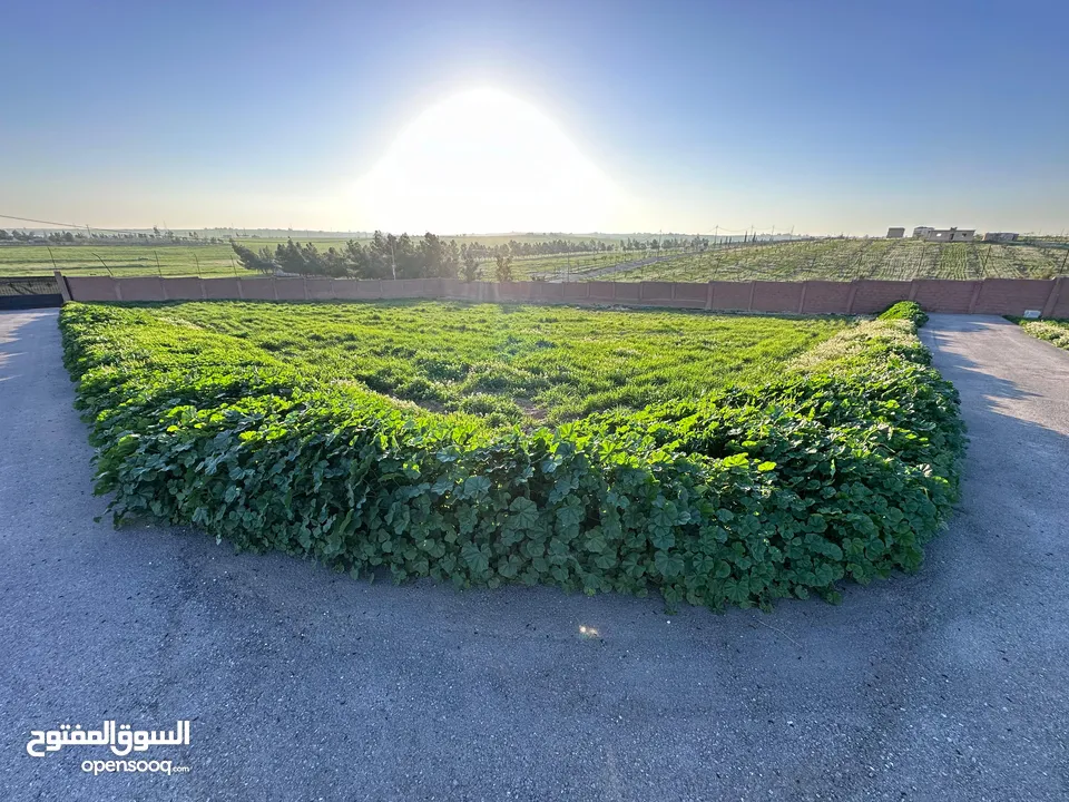 ارض للبيع على شارعين طريق المطار مع سور مجاني جلول 6 كم من جسر المطار من المالك مباشرة