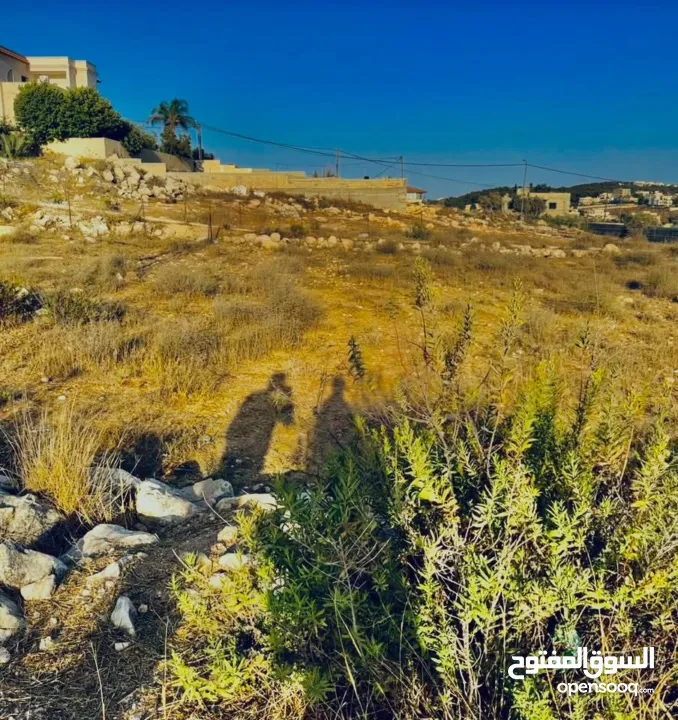 ارض للبيع في الجابريات