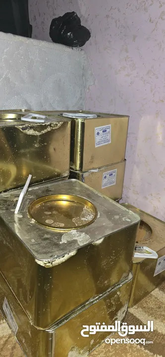 اجبان الزعلان والفرحان   جبنة حليب غنم صافي 100 بالميه جبنه سمنه حليب زبده