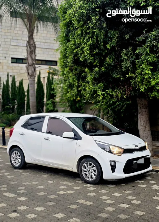 بيكانتو مورنينج 2021