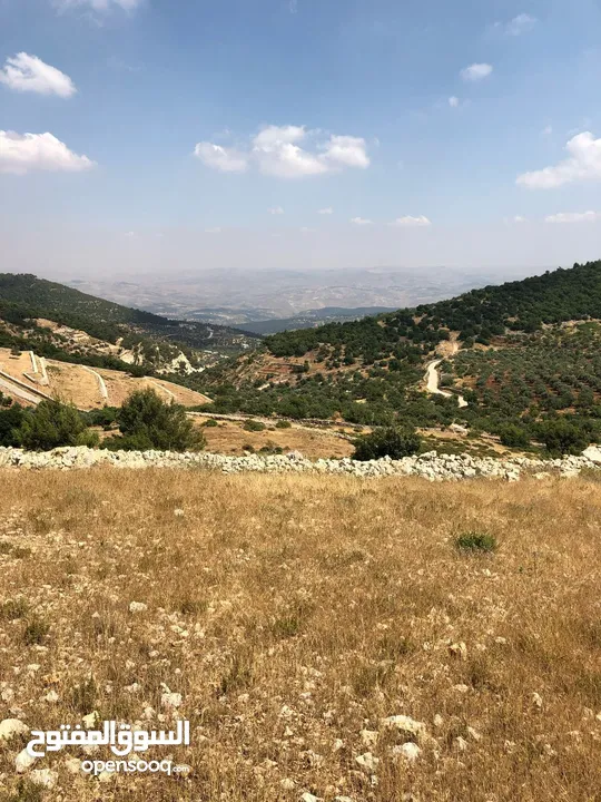 فرصة استثمارية! أرض زراعية مميزة بسعر مغري و بالقرب من أحراش الدولة للمزيد من المعلومات اقرأ الوصف