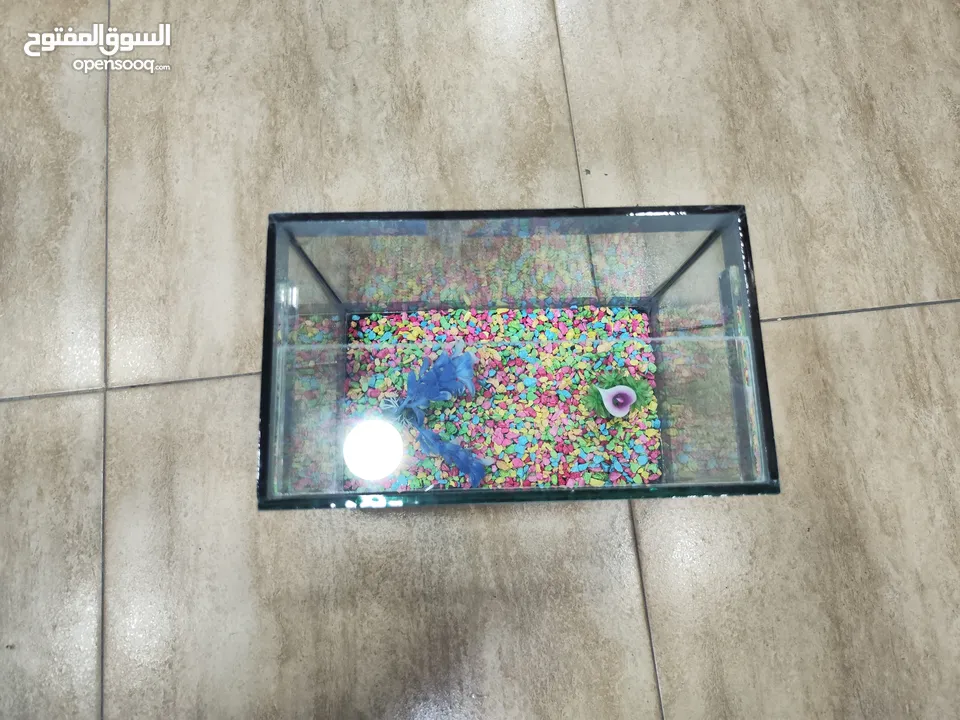 حوض سمك مكتبي او غرفة نوم المقاسات متوفرة بالوصف