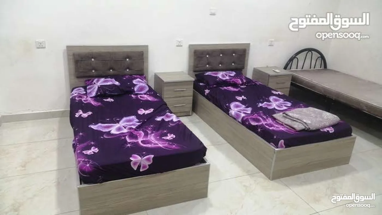 شقق و استديوهات مفروشه للايجار العقبه