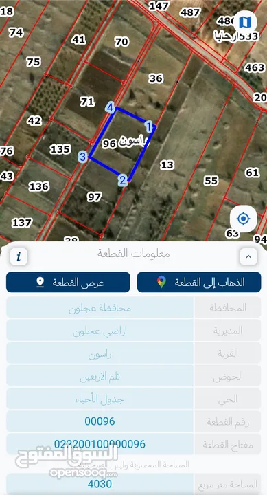 ارض للبيع راسون حوض تلم الأربعين