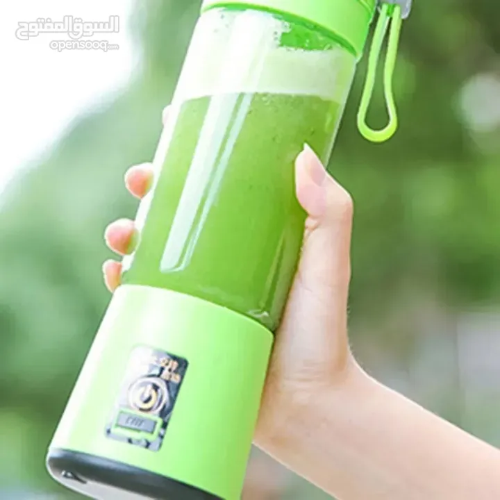 Portable Mini Blender (380 ml)