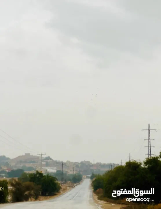 ارض مساحة 1600 متر مربع للبيع تصنيف أ في بلدة العوجا الهادئة الجميلة