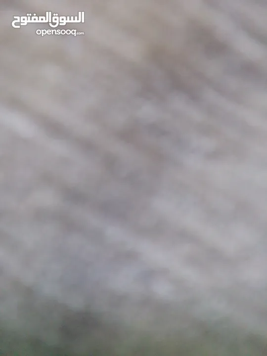 تلفون انفنكس نضيف معه سماعه اصليه ايربوت وشاحن اصلي 15 دينار نهايته