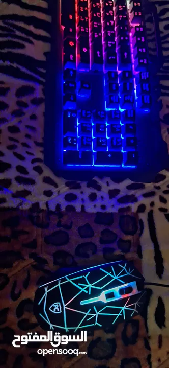 Gaming keyboard + mouse