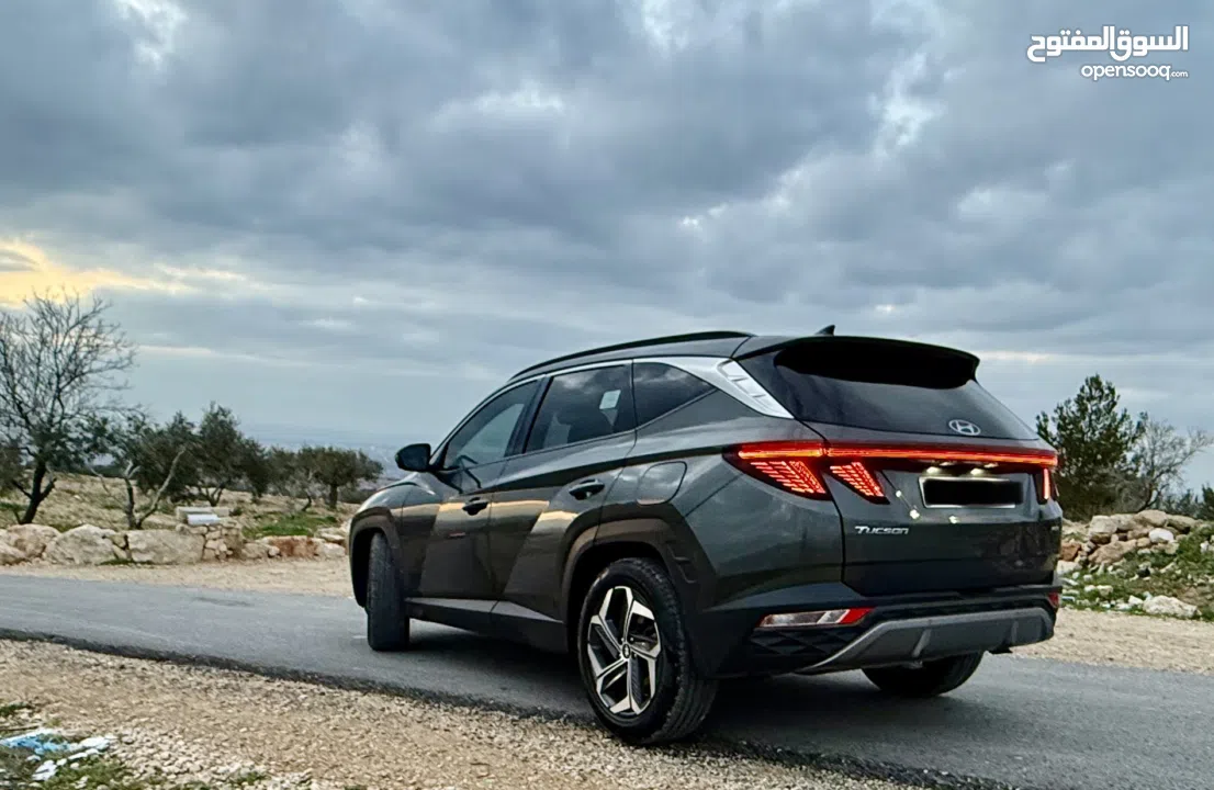 توسان 2021القصة الجديدة بسع. مغري جدا