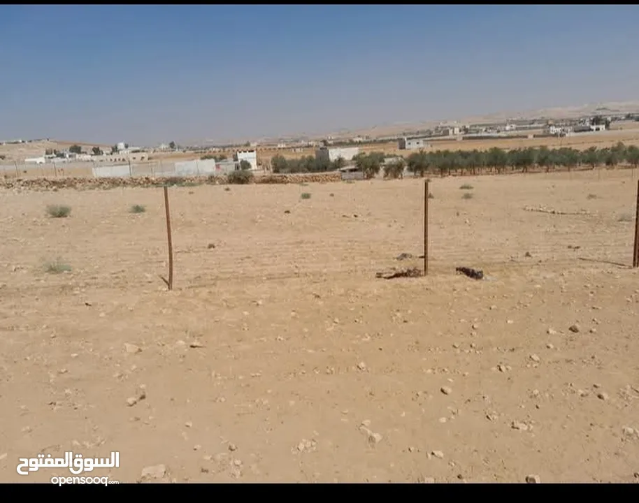 قطعة أرض 4 دونم و 632 متر في بلعما منطقة الزيتونه