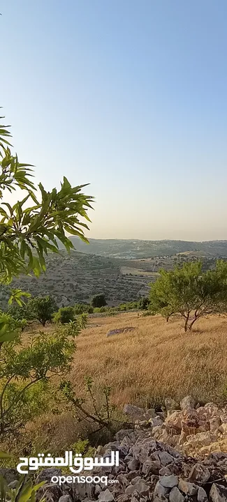 فيلا راقيه جدا موقع خرافي على قمه جبل مصيف رقم 1 ذات خصوصه عاليه