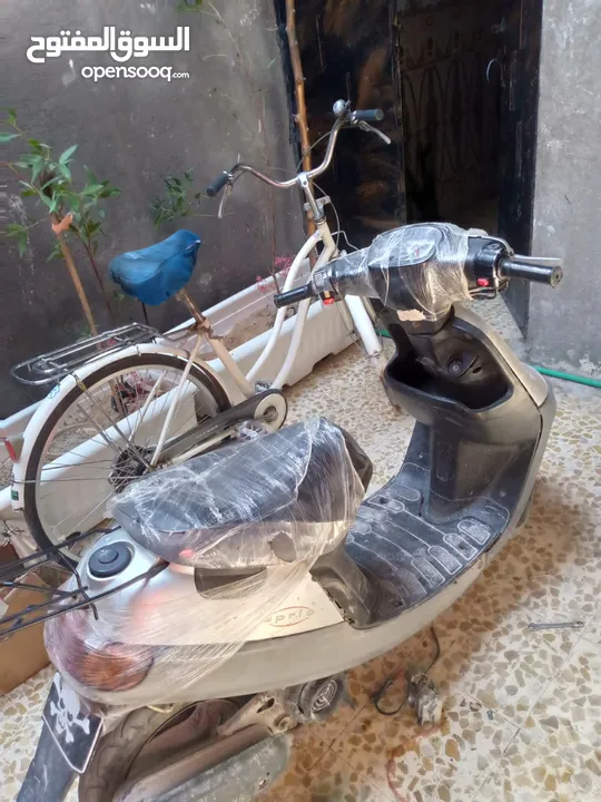 دراجه منغولي للبيع 