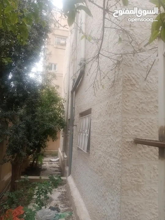 عماره للبيع