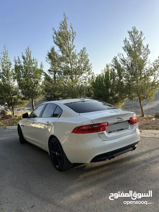 جاغوار xe 2019