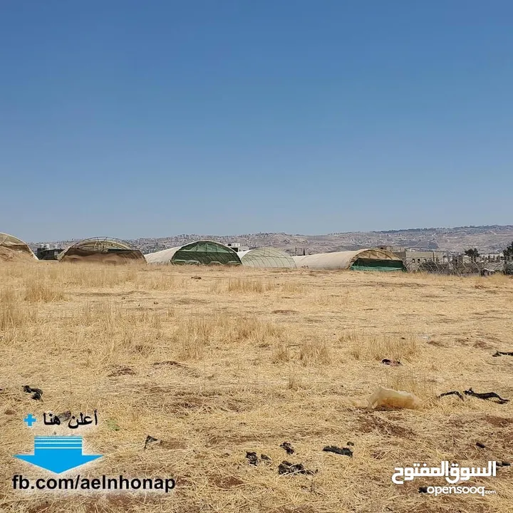 قطعة أرض مفروزة سكنية مميزة للبيع في منطقة أم الدنانير  من أراضي شمال عمان من المالك مباشرة