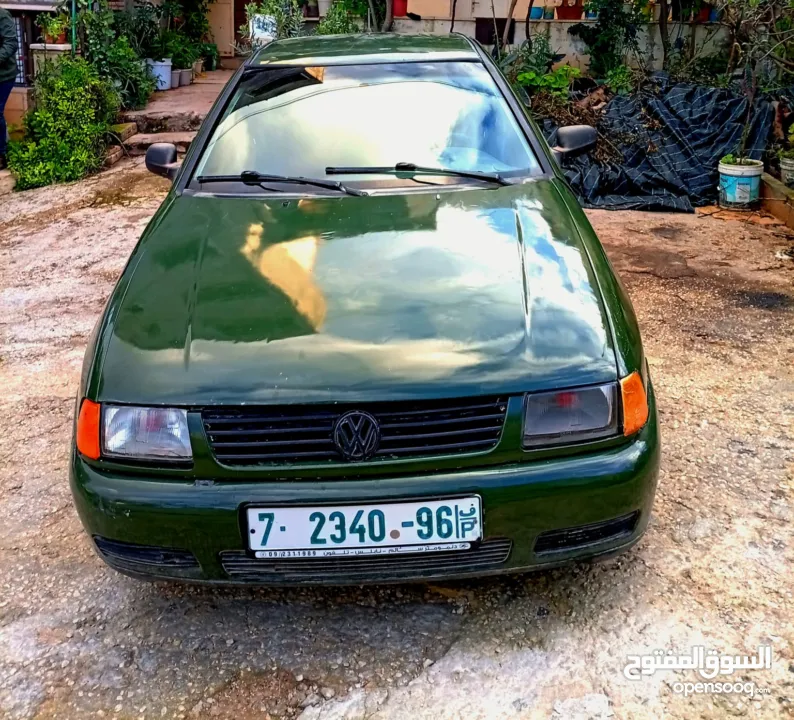 بولو كلاسيك