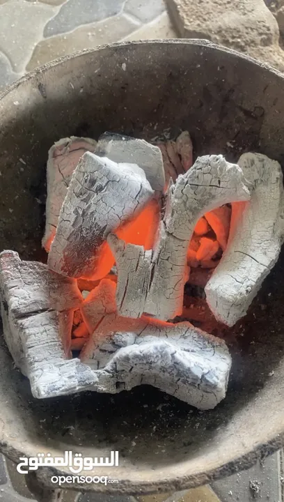 فحم مشاوي نخب اول للتصدير