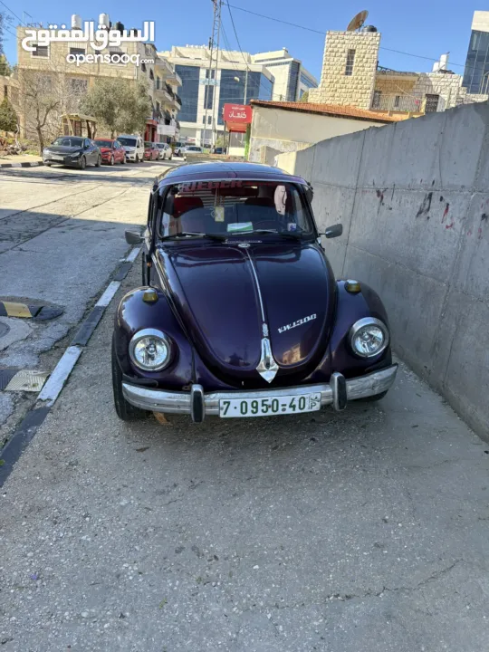 فوكسفاكن بيتل (صرصور)