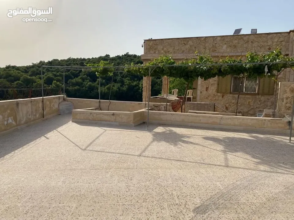 مزرعه للبيع في عجلون شمال شرق القلعه طريق مار الياس