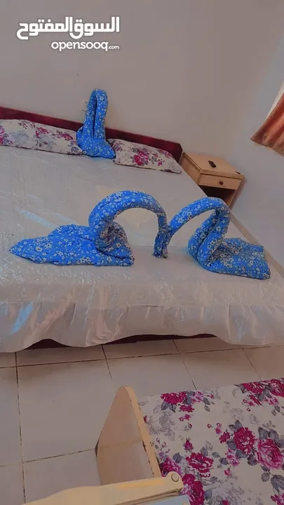 شقه بالعقبة .. فندق الجابر