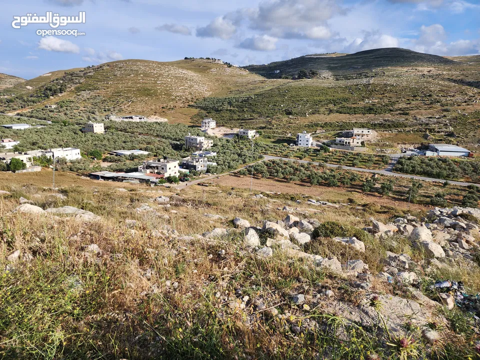 ارض في موقع جميل من اراضي بيت امرين (طايو)