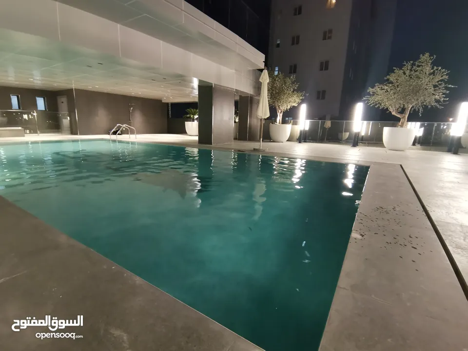 Large 1BHK  Serviced Apartment  Fully furnished  in Dubailand