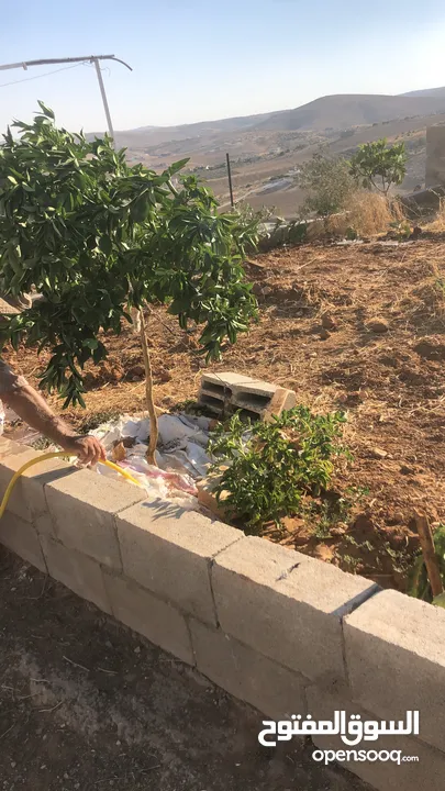 أرض بسعر مغري