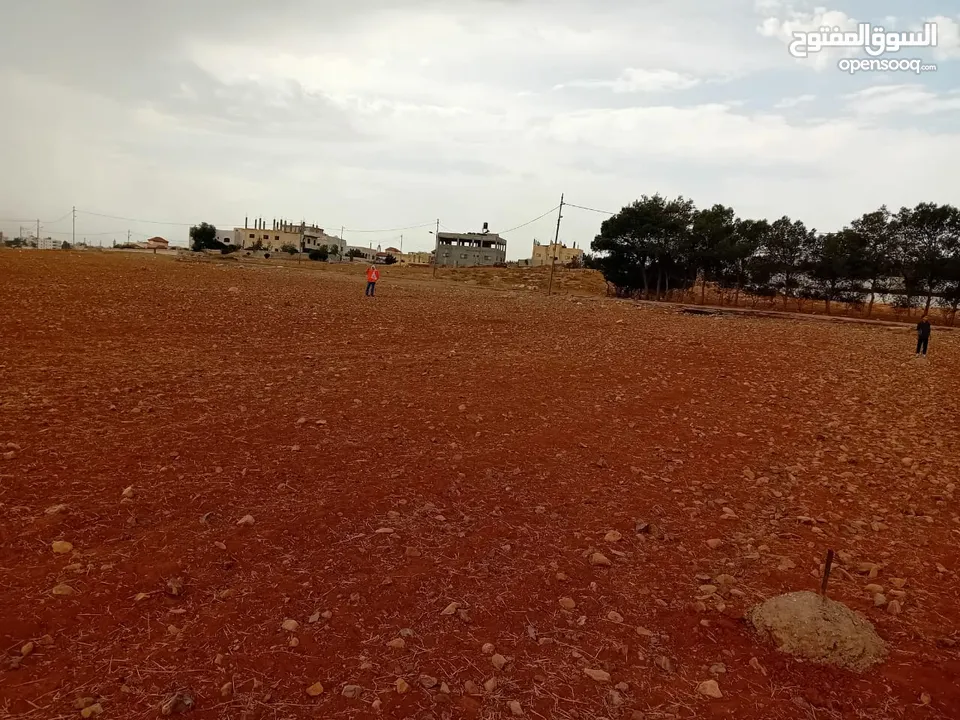 أرض مميزة في خشافية الشوابكة