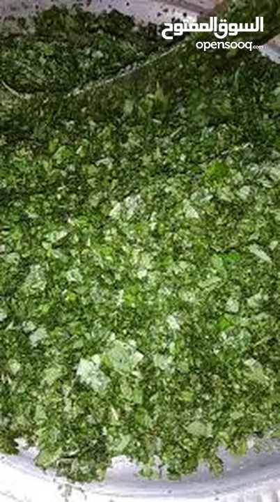 ملوخيه الرجاء او ناشفه مغسوله ومنقبه مفرومه ناعم او حسب طلب ملوخيه السنه هاي وصلت لحد بيتك