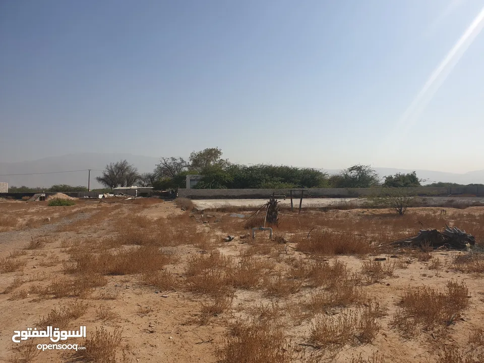 مزرعة للبيع بموقع مميز قريب للخدمات والسعر مناسب