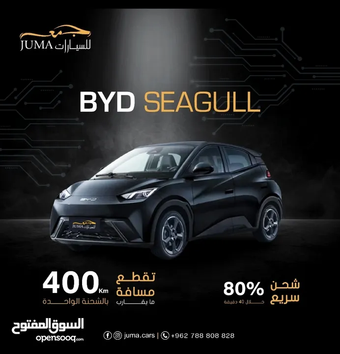 BYD Seagull 2024 وارد الوكالة