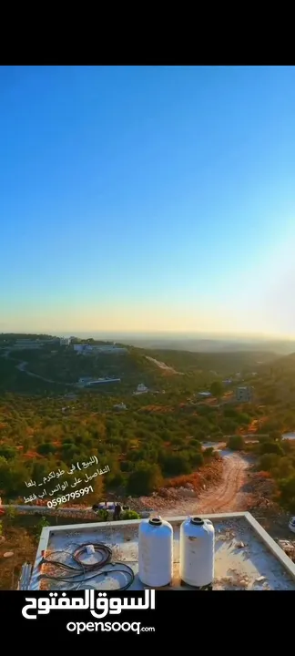 ارض مخصصه لإنشاء شاليه