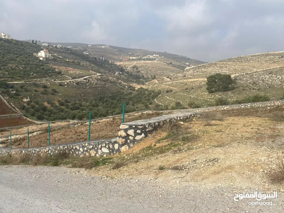 قطعة ارض زراعية منطقة ام رمانة قريبة من التنظيم