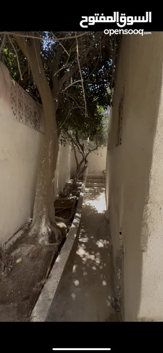 شقة للايجار الهاشمي الشمالي