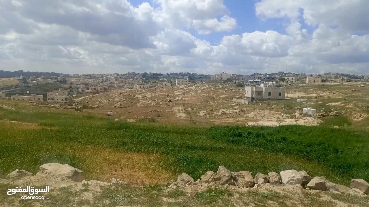 مطلوب شقق للإيجار في رام الله والبيرة والمناطق المحيطة وتواصل مع الرقم 05680 طبعا هذ88137تكملت الرقم
