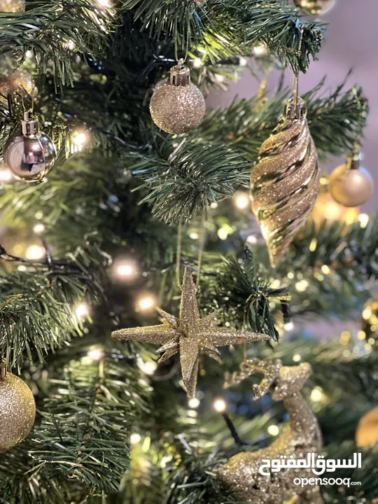 شجرة كريسماس