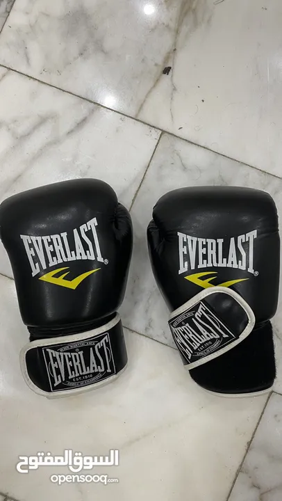 كيس ملاكمة حجم 120 + كفوف ملاكمة everlast