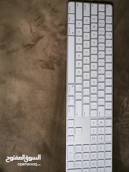 Apple Mouse and keyboard