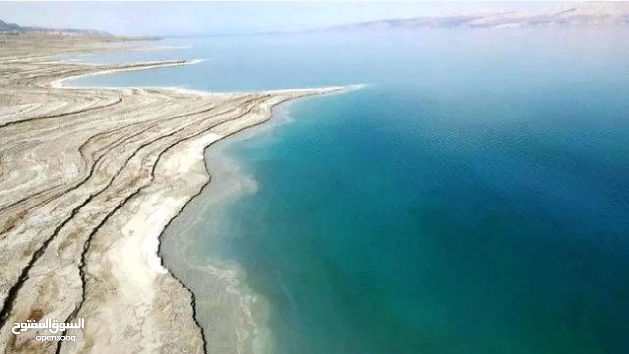 البحر الميت استثمارك الآمن للمستقبل (سويمة، الجلد، العظيمي، منطقة الفنادق) من المالك مباشرة
