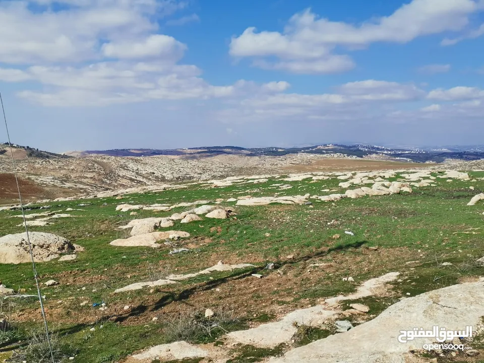 ارض للبيع 915 م سكن أ شارع المطار _ ناعور _ حسبان _ طريق الجامعة الالمانية من المالك مباشرة