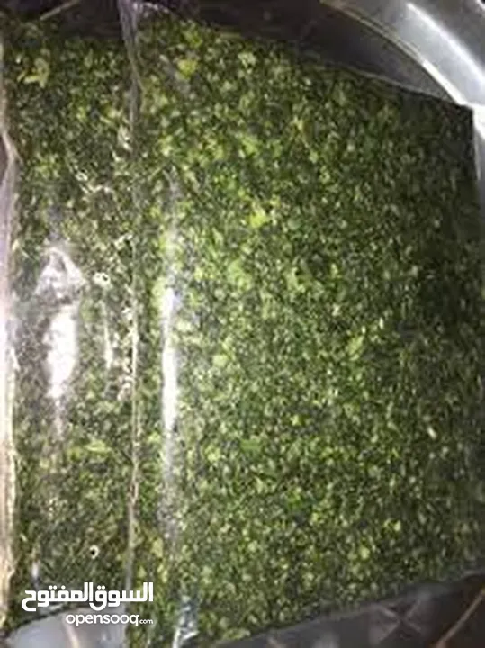 ملوخيه ورق وملوخيه ناشفه مفروكه وناعمه بدون عيدان مغسله ومنقبه وجاهزه لطبخ