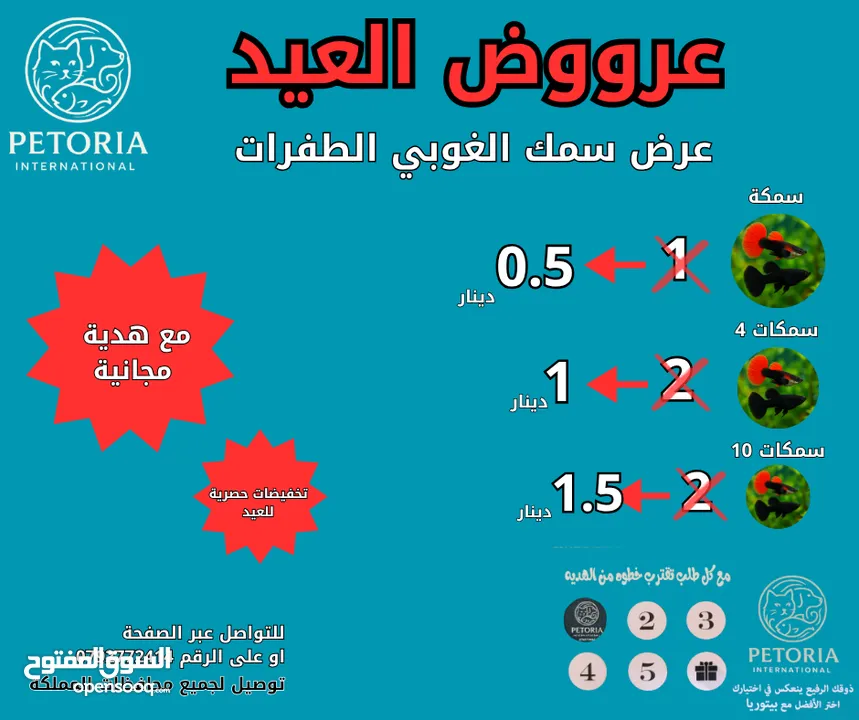 عرووض بمناسبة العيد على مستلزمات الاسماك