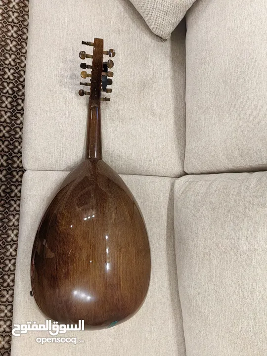 عود زرياب مصري