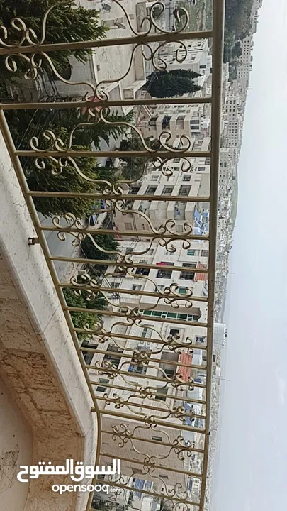 شقه  للبيع