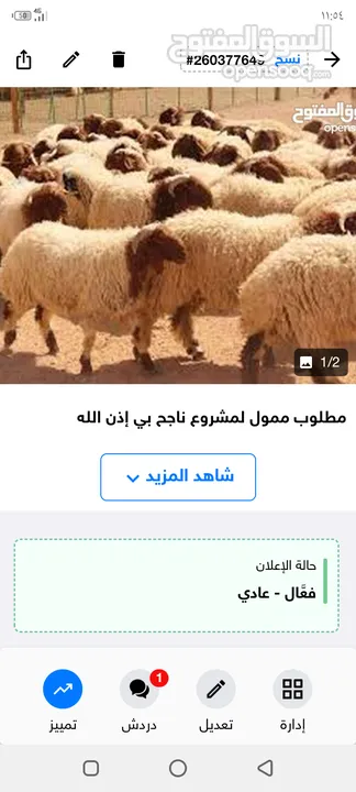 مطلوب ممول لمشروع  في باذن الله في تربية الغنام