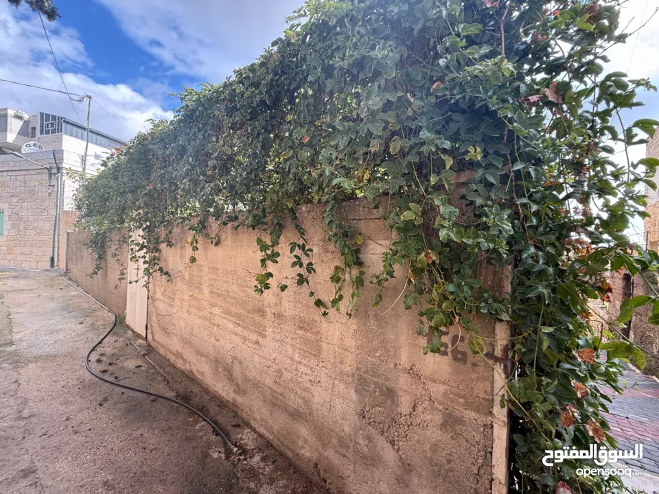 عيس جورج جبرية