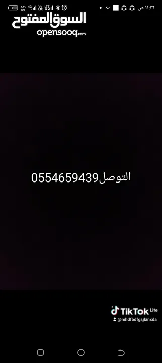 حوار لبانى صغير