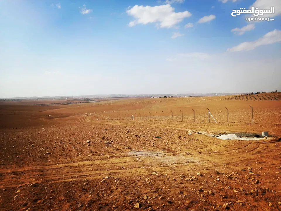 للتشييك المزارع وملاعب