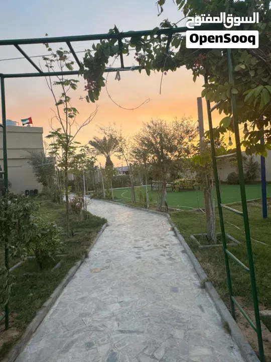 استراحه للايجار Farm for daily rent